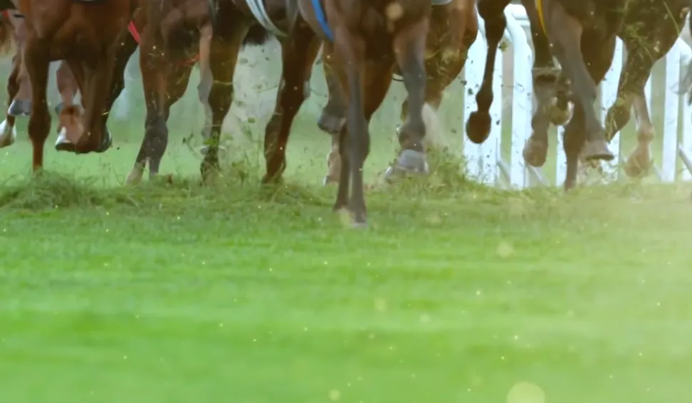 百人斗牛 游戏截图